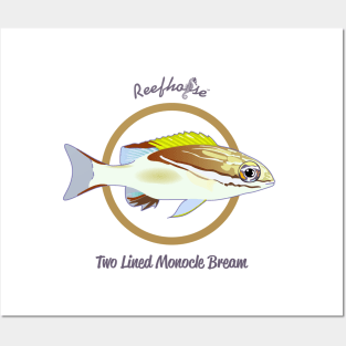 Two Lined Monocle Bream Posters and Art